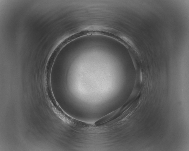 X0000081300976200701111420