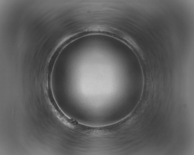 X0000081300984200701111420