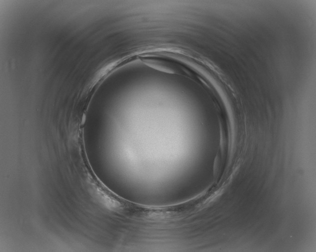 X0000081300985200701111420