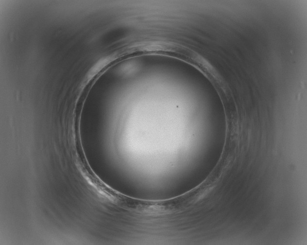 X0000081300986200701111420