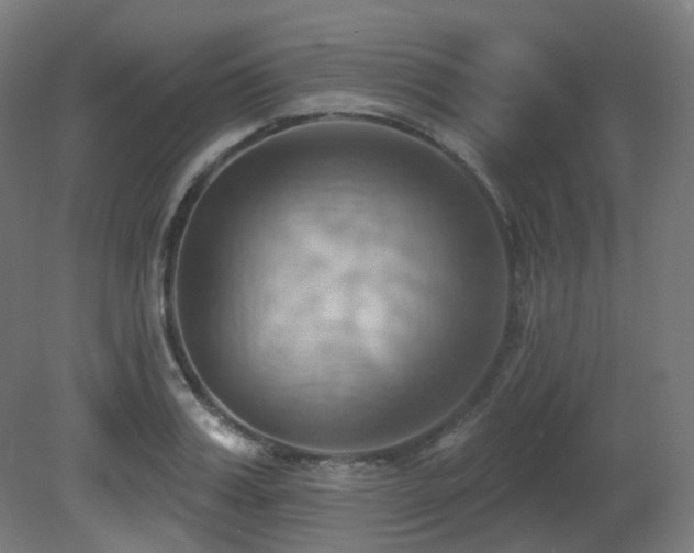 X0000081300987200701111420