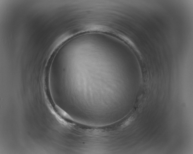 X0000081300991200701111420