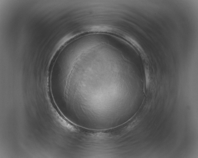 X0000081300992200701111420