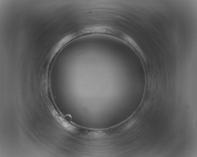 X0000081300994200701111420