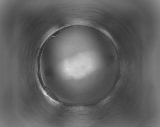 X0000081300999200701111420