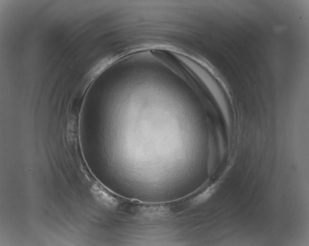 X0000081301001200701111420