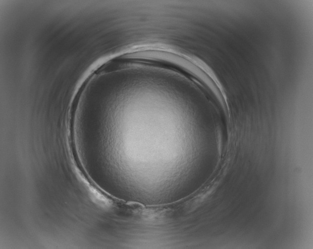 X0000081301005200701111420