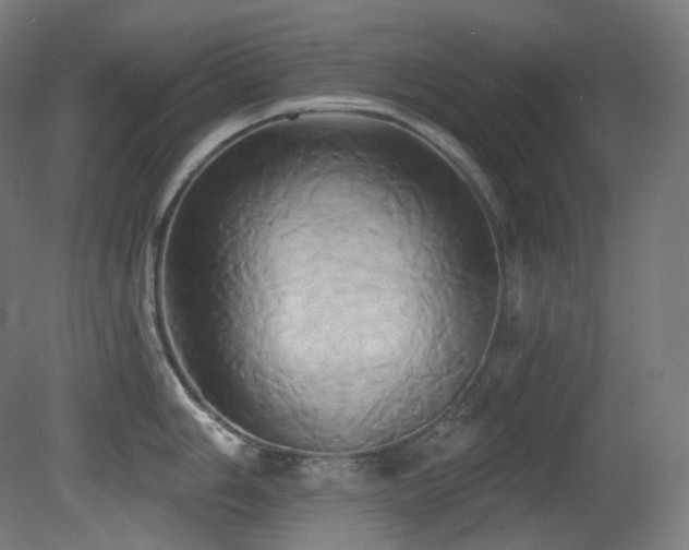 X0000081301006200701111420