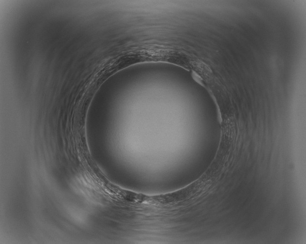 X0000081301009200701111419