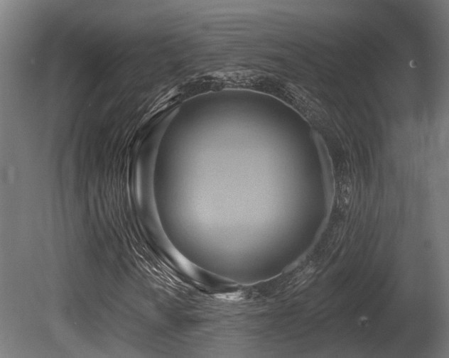 X0000081301010200701111419