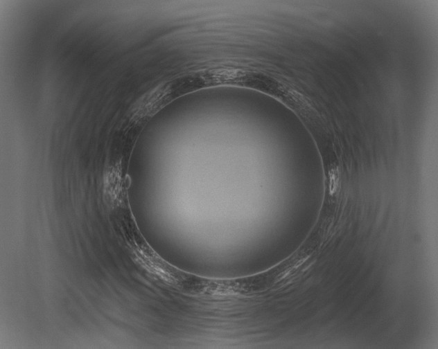 X0000081301011200701111419