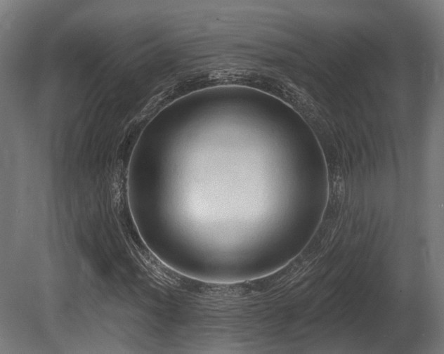 X0000081301012200701111419