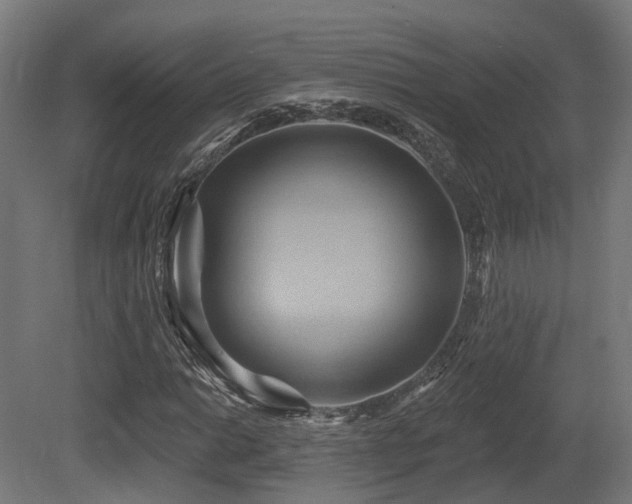 X0000081301014200701111419
