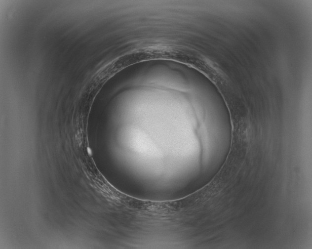 X0000081301015200701111419