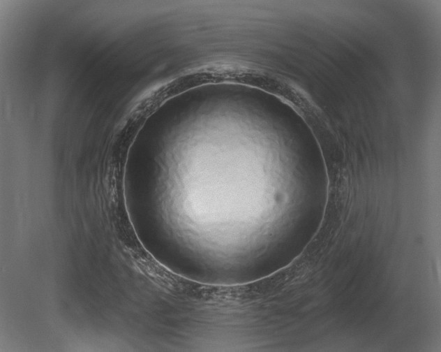 X0000081301016200701111419