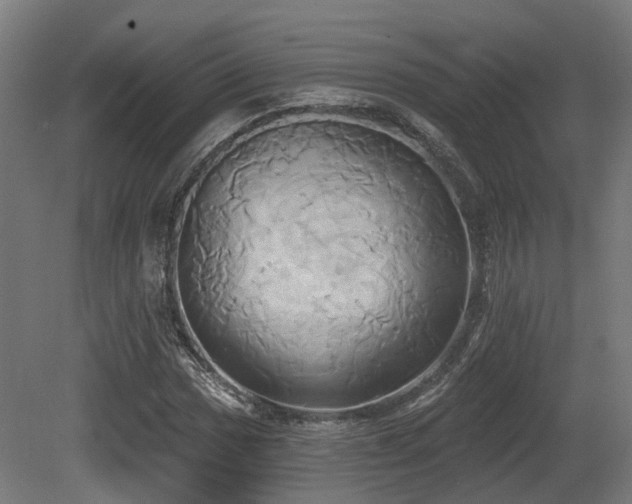 X0000081301017200701111419
