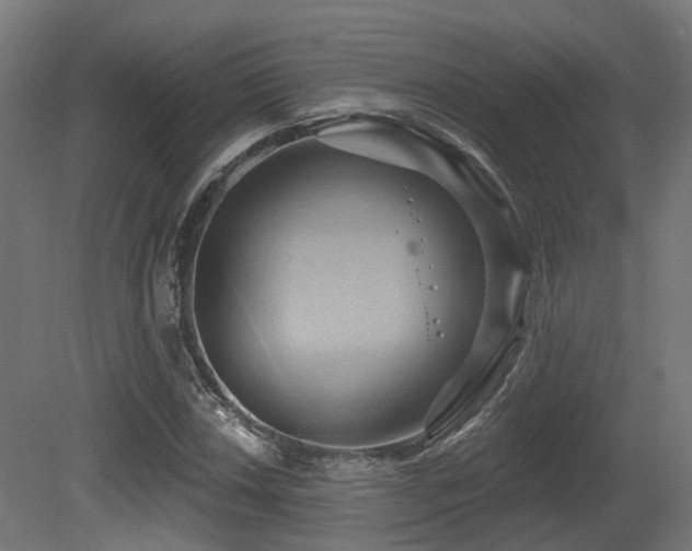 X0000081301018200701111419