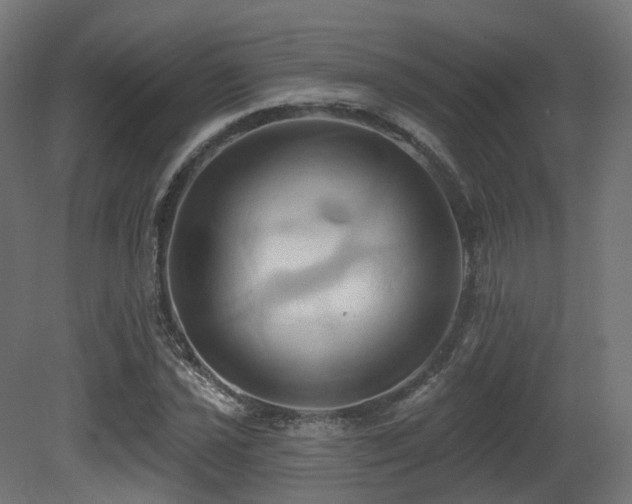 X0000081301021200701111419