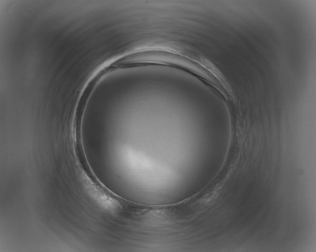 X0000081301028200701111419