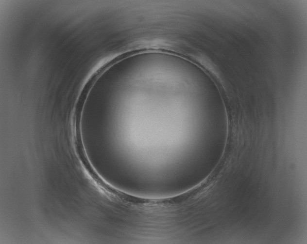 X0000081301032200701111419