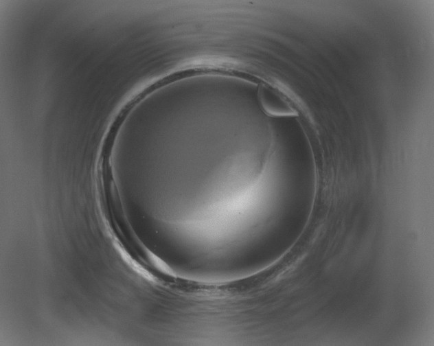 X0000081301037200701111419