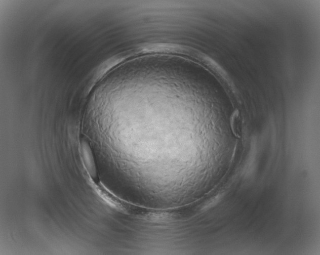 X0000081301041200701111419