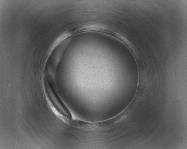 X0000081301042200701111419