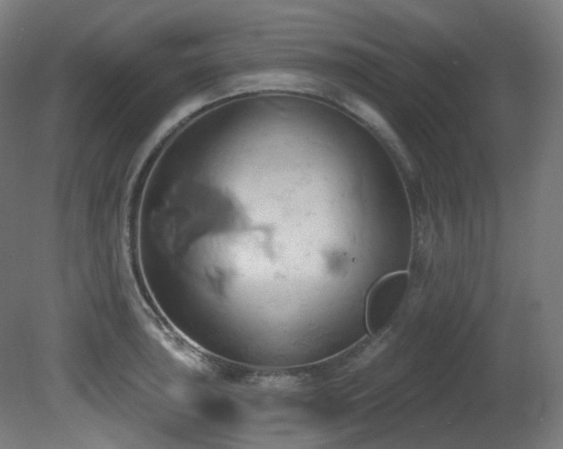 X0000081301043200701111419