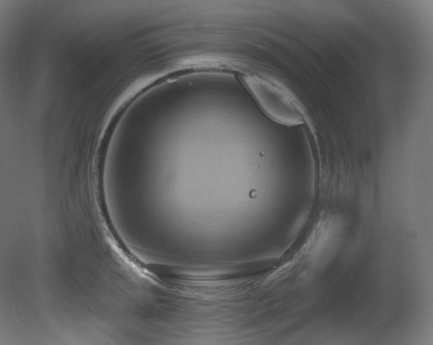 X0000081301045200701111419
