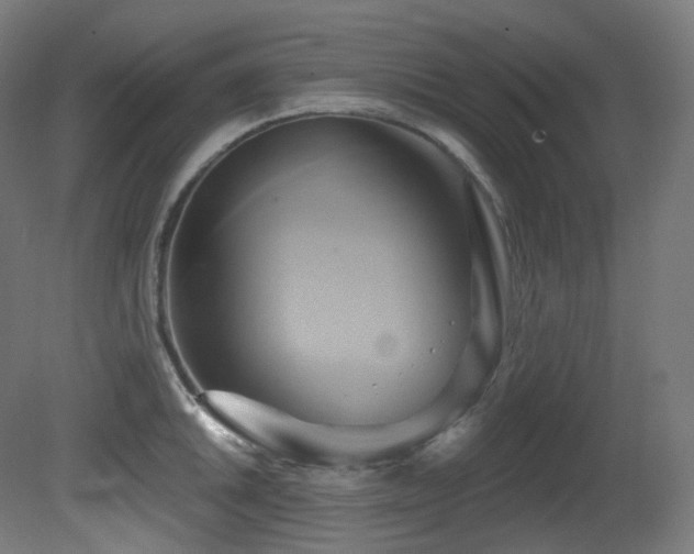 X0000081301046200701111419