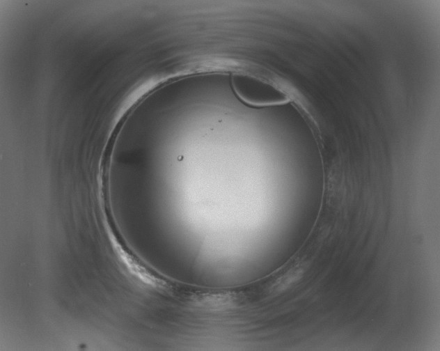 X0000081301047200701111419