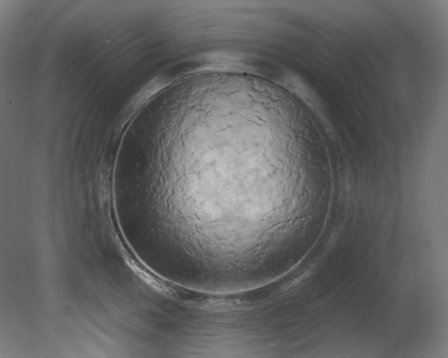 X0000081301049200701111419