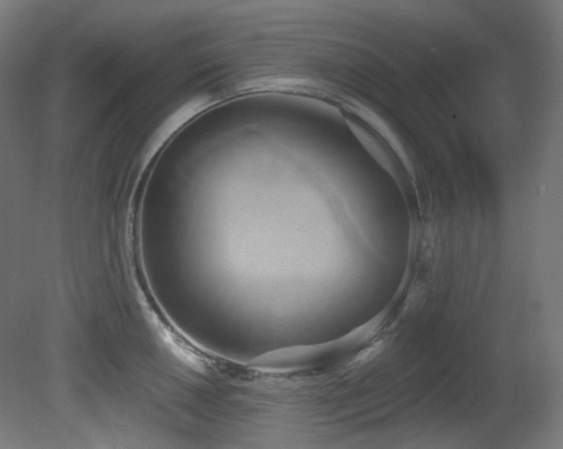 X0000081301050200701111419