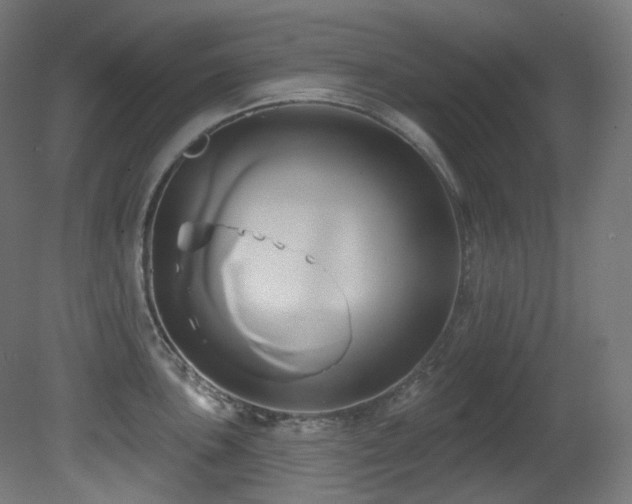 X0000081301051200701111419
