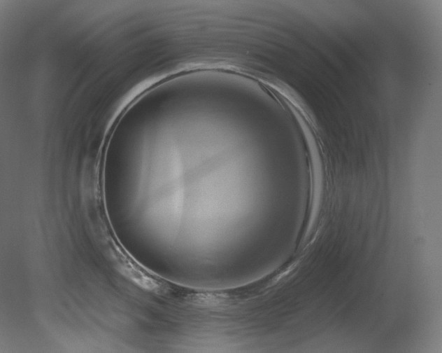 X0000081301052200701111419