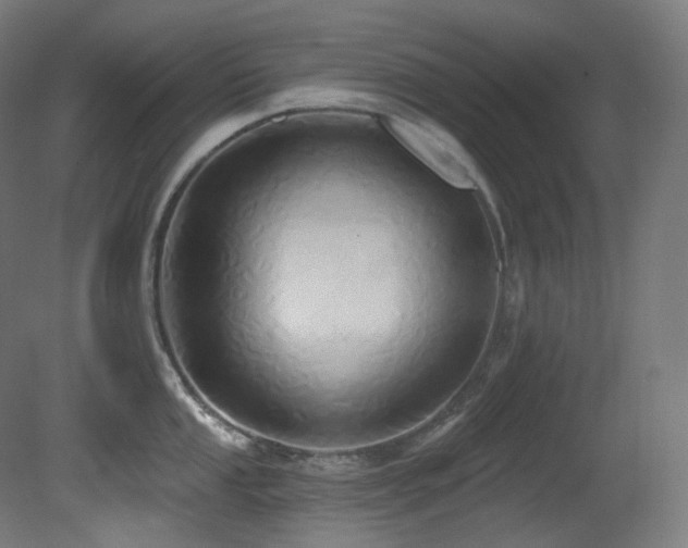 X0000081301053200701111419