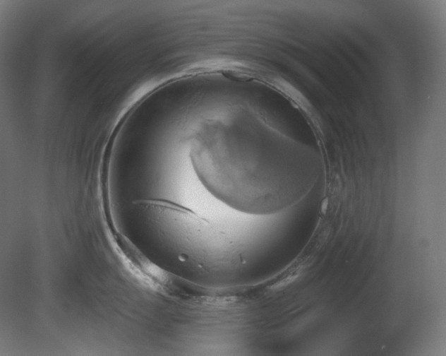 X0000081301055200701111420