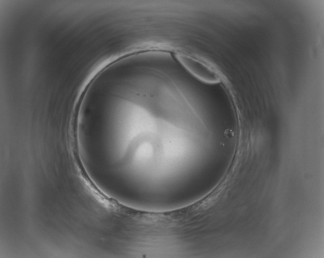 X0000081301056200701111420