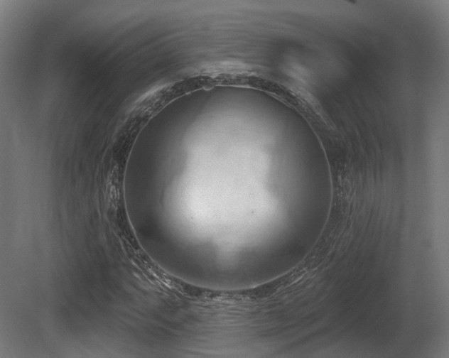 X0000081301063200701111419
