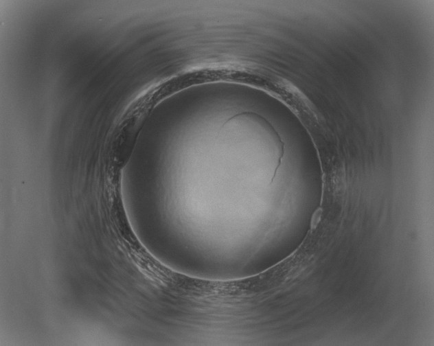 X0000081301064200701111419