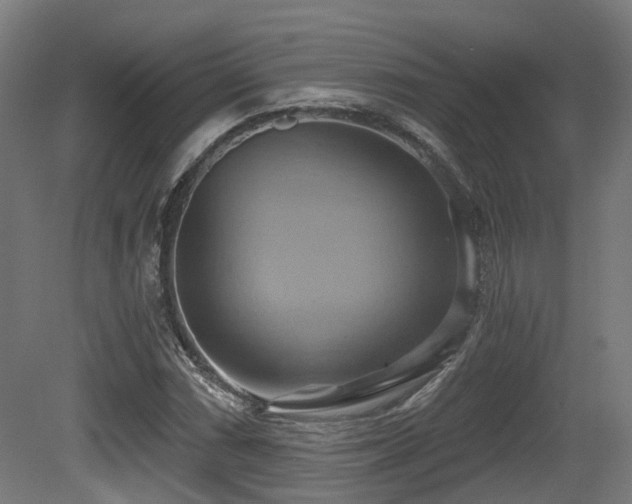 X0000081301066200701111419