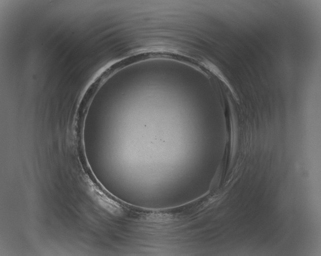 X0000081301068200701111419