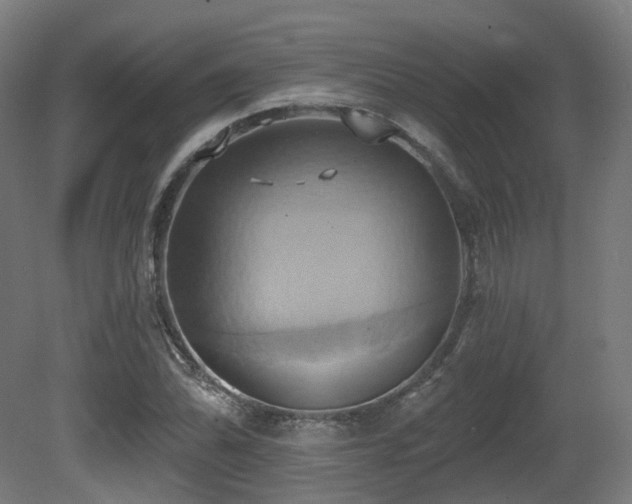 X0000081301070200701111419