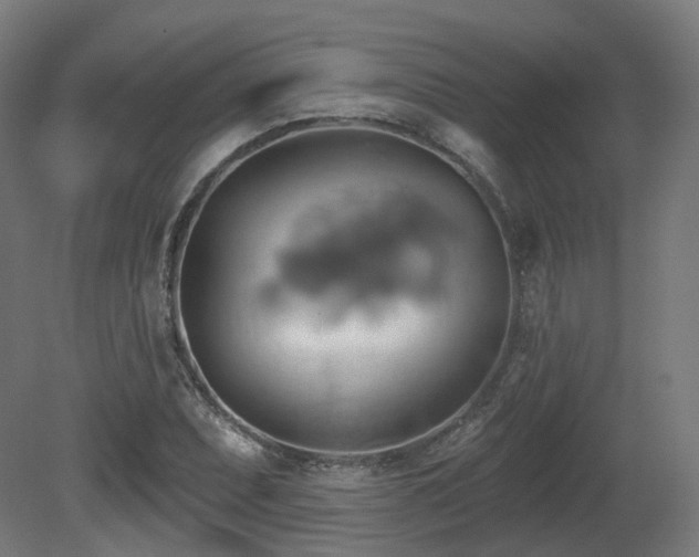 X0000081301071200701111418