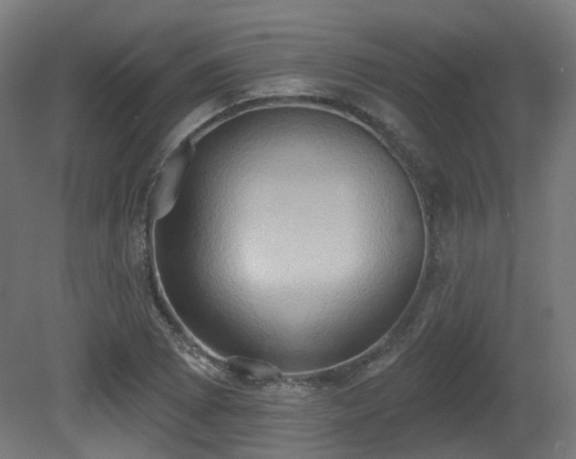 X0000081301073200701111418