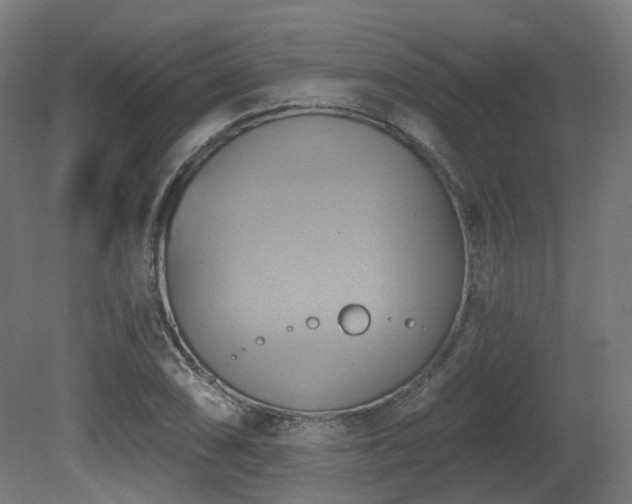 X0000081301074200701111418