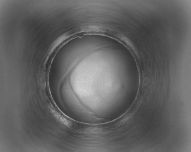 X0000081301075200701111418