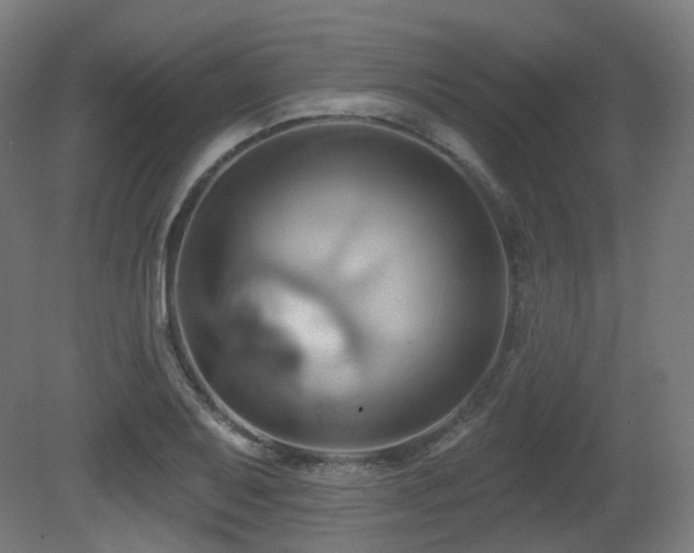 X0000081301079200701111418