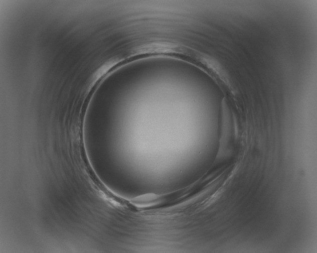 X0000081301081200701111418