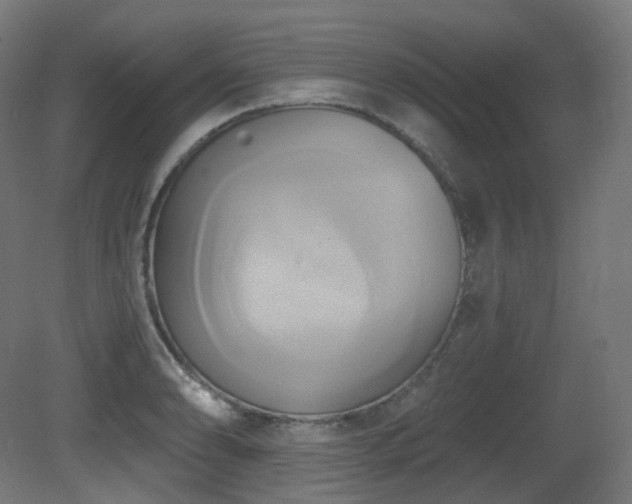 X0000081301086200701111418